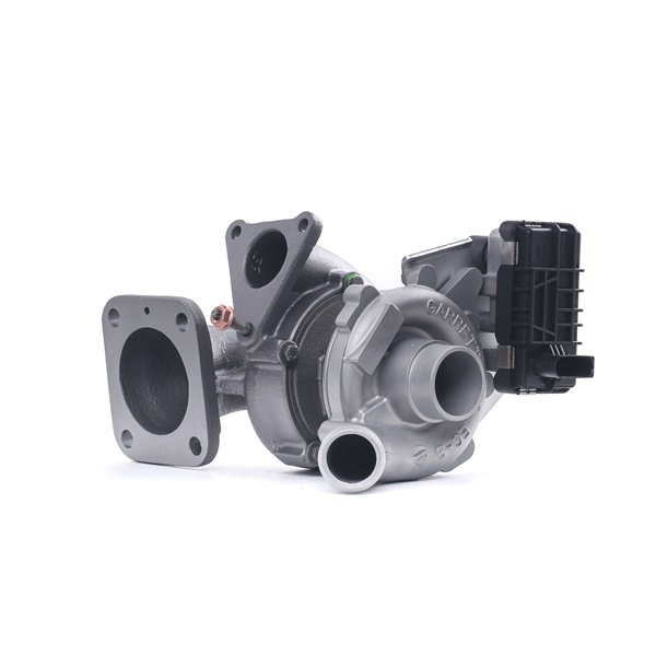 RIDEX REMAN 2234C10400R turbocharger 1 479 061