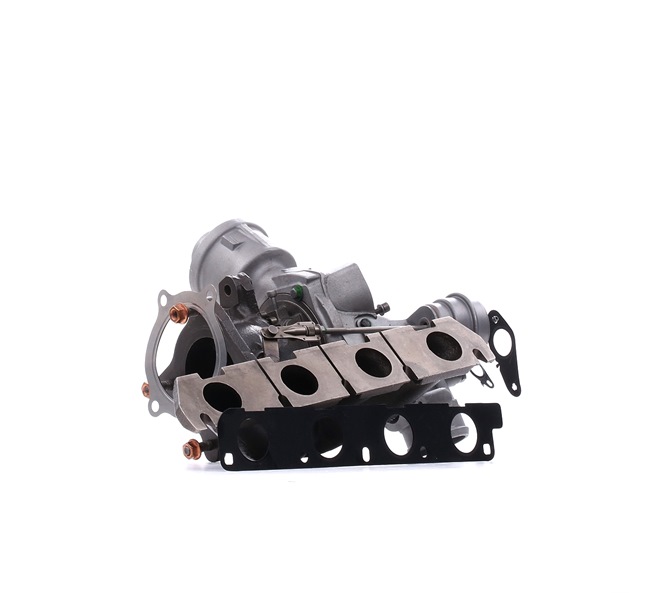 RIDEX REMAN 06D 145 701 C Turbosprężarka 2234C10731R