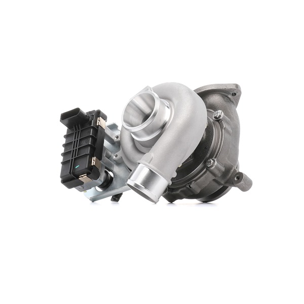 RIDEX 2234C10738 Calidad y precios justos