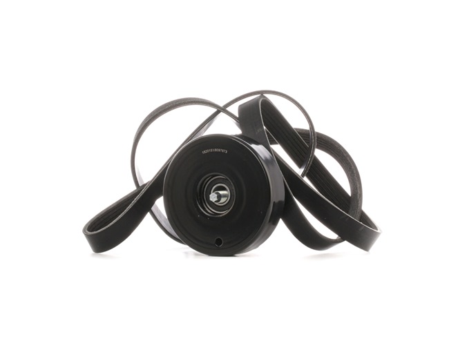 RIDEX 542R0731 poly v-riem set 00A903315