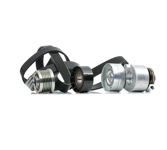 RIDEX 542R0732 Multiriem set OPEL Vivaro A Flatbed Vrachtwagen / Chassis (X83) 1.9 Di 82 Pk Diesel 2010