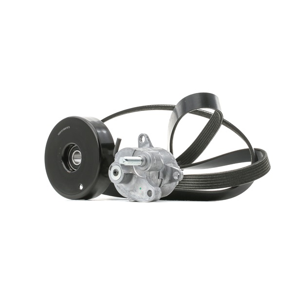 RIDEX 542R0738 poly v-riem set 00A903315