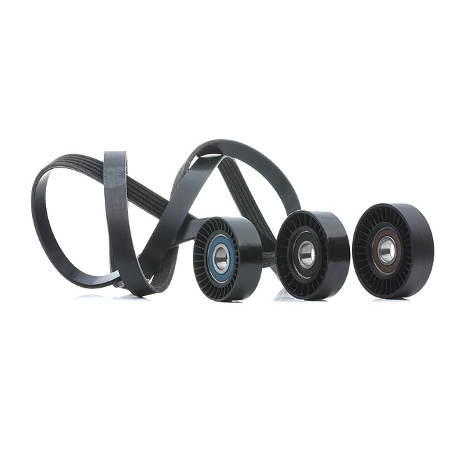 RIDEX 542R0740 poly v-riem set 166 202 08 19