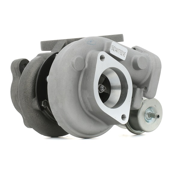 RIDEX 2234C10760 turbocharger 1441-1VB300