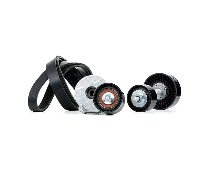 RIDEX 542R0742 poly v-riem set 11288575058