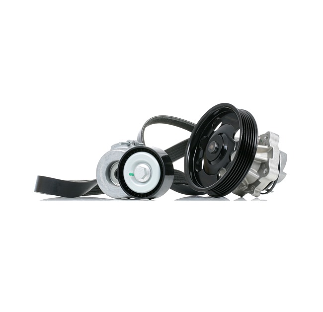 RIDEX 4172P0082 Σετ ιμάντων poly-v Corsa C X01 1.3 CDTI 16V (F08, F68) 69 PS Πετρέλαιο 2005