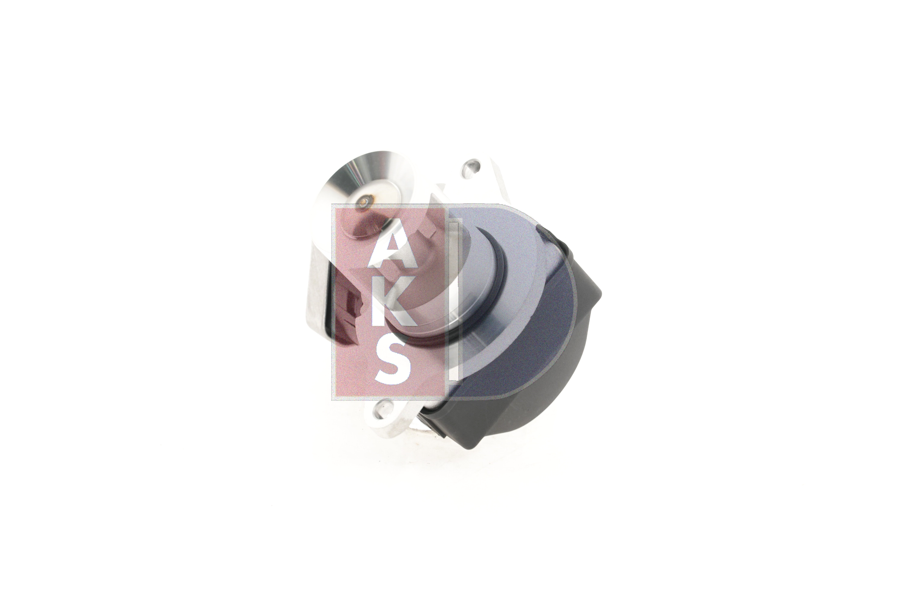 AKS DASIS 125018N egr klep A6461402360