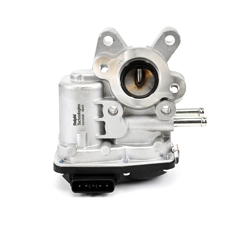 DELPHI EG10536-12B1 Calidad y precios justos