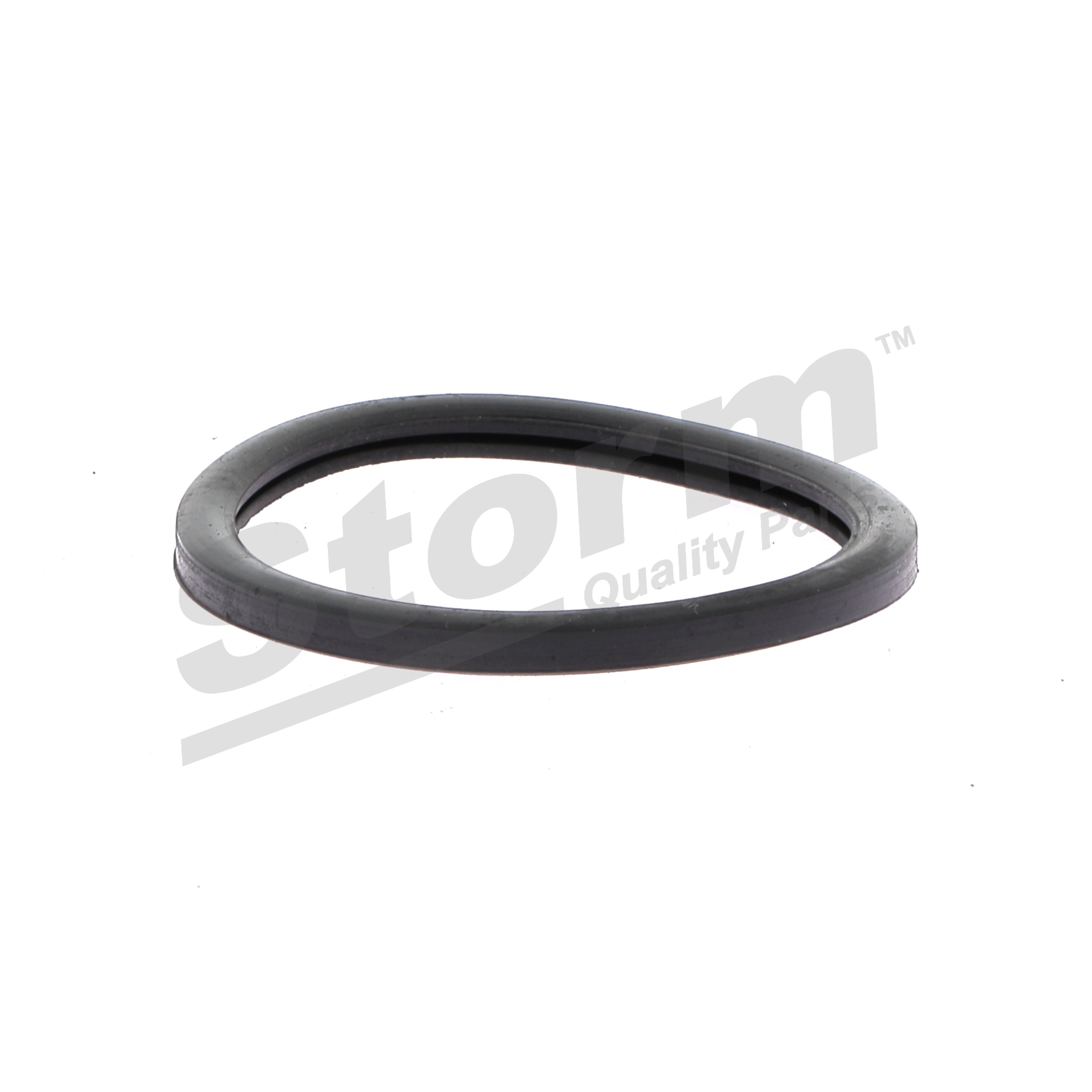 STORM QUALITY PARTS F1762 Zatesnitev hladilne vode Renault Scenic 1 1.6 (JA00, JA16, JA15, JA19, JA1V, JA2B, JA2C, JA0B,... 107 km Bencin 1999