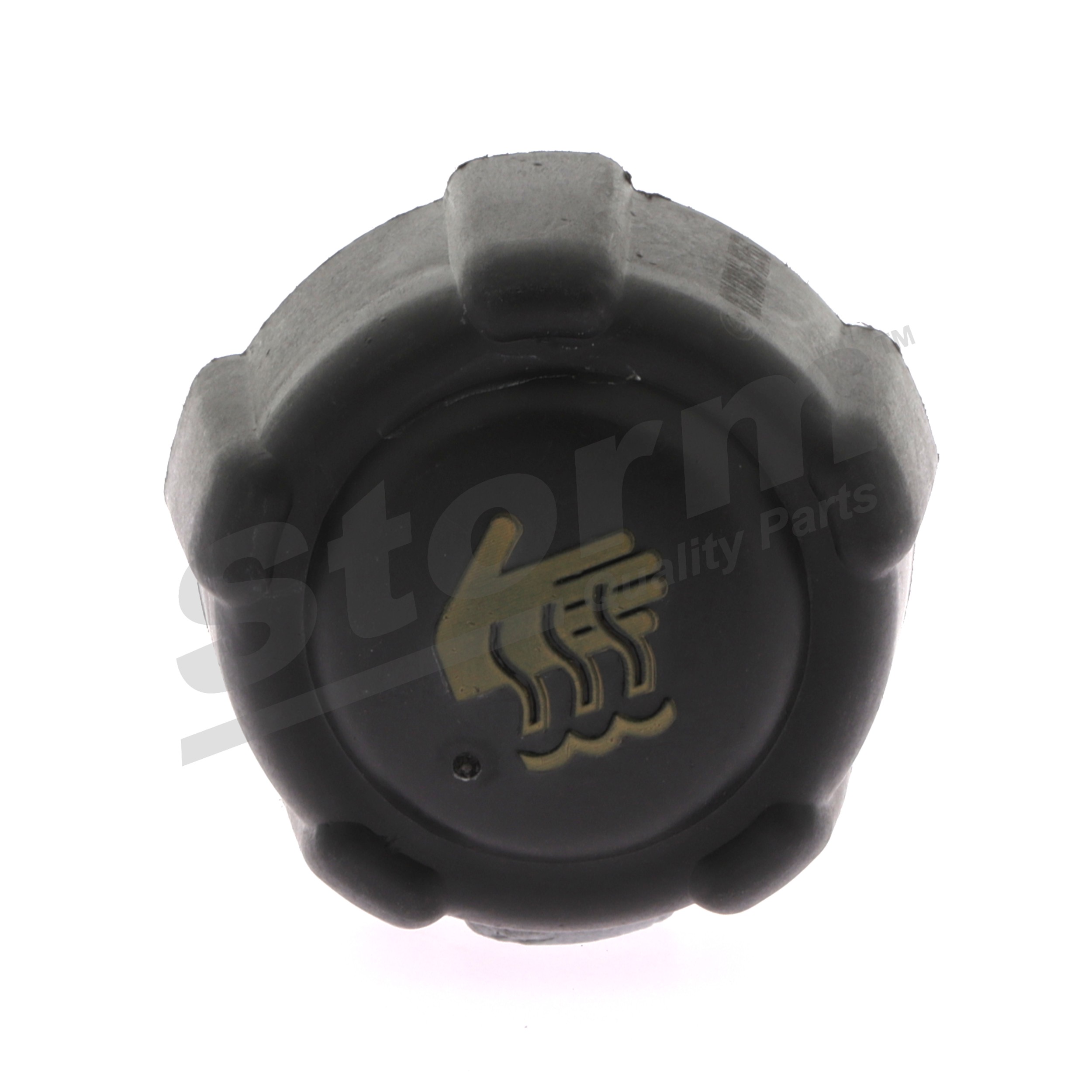 STORM QUALITY PARTS F2348 Dangtelis, radiatorius Renault Scenic 1 1.9 D (JA0J, FA0J) 64 AG dyzelinas 2001