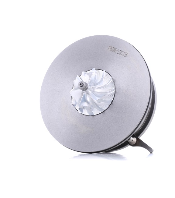 RIDEX 4973C0247 Plniace dúchadlo BMW E70