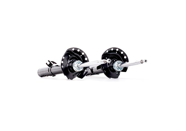 RIDEX 854S18195 Calidad y precios justos