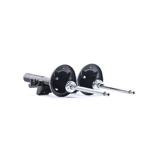 RIDEX 854S18197 schokdemper 1 106 710