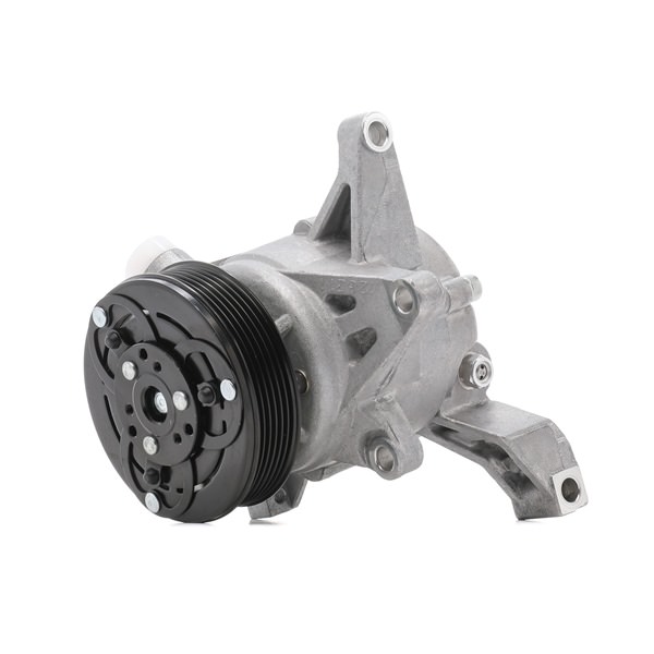 RIDEX 447K0625 aircopomp 73111FJ040