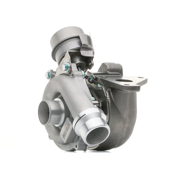 RIDEX 2234C10793 turbocharger Renault Clio 2