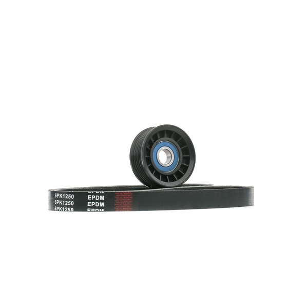 RIDEX 31 258 082 Moniurahihnasarja 542R0798