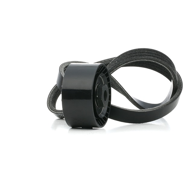 RIDEX 542R0837 Calidad y precios justos