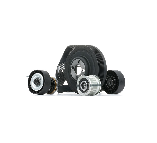 RIDEX 542R0849 Moniurahihnasarja Audi A4 B8 2.0 TDI quattro 143 hv Diesel 2010