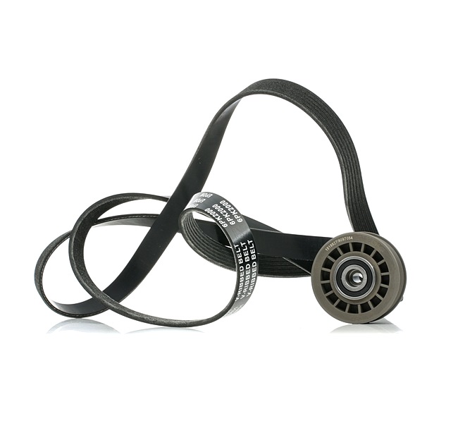 RIDEX 542R0894 Calidad y precios justos