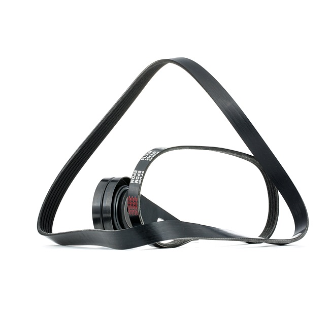 Poly V-riem set van STARK SKRBS-1200905 aan aanvaardbare prijs