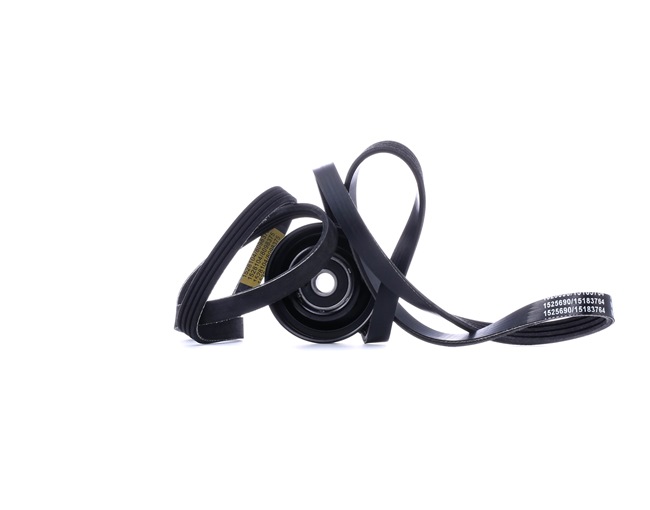 RIDEX 542R0910 A-kwaliteit en eerlijke prijzen