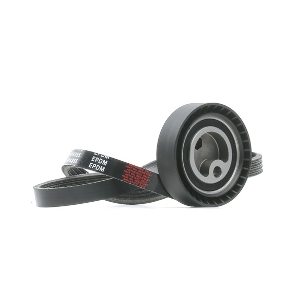RIDEX 542R0927 A-kwaliteit en eerlijke prijzen