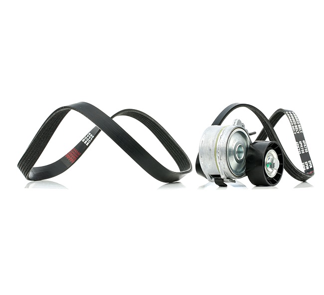Poly V-riem set van STARK SKRBS-1200929 aan aanvaardbare prijs