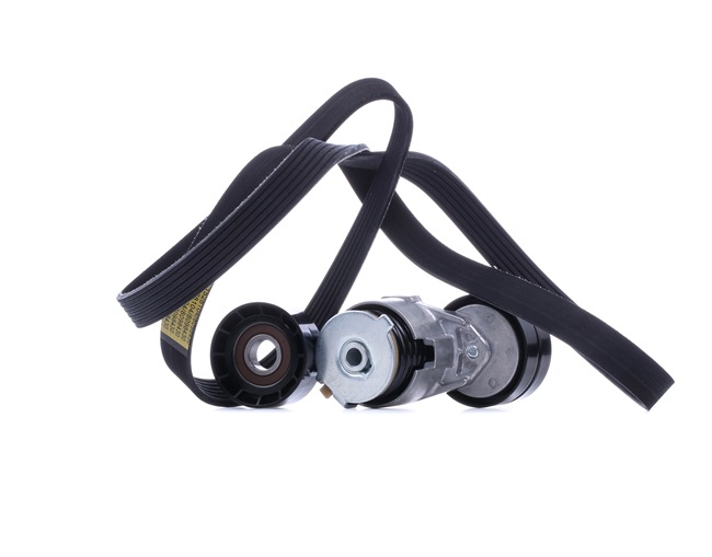 RIDEX 542R0935 Multiriem set OPEL Vivaro A Flatbed Vrachtwagen / Chassis (X83) 1.9 DTI 101 Pk Diesel 2001