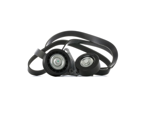 RIDEX 542R0950 Calidad y precios justos