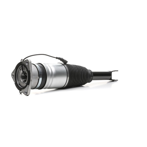 RIDEX 4118A0100 Calidad y precios justos