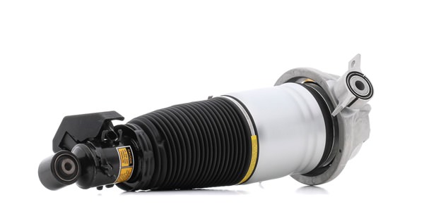 RIDEX 7L8 616 020C Amortiguador neumático 4118A0103