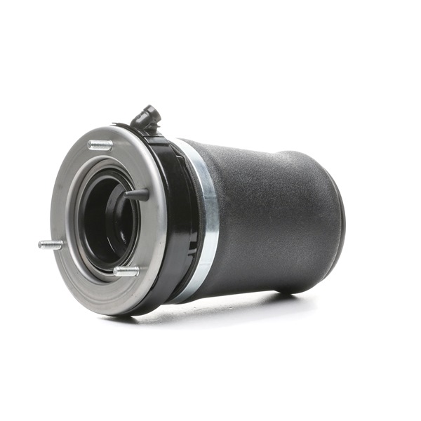 RIDEX 4119A0093 Calidad y precios justos