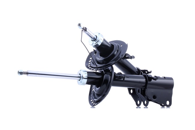 RIDEX 854S18224 qualité et prix abordables