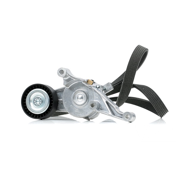 RIDEX 542R0987 A-kwaliteit en eerlijke prijzen