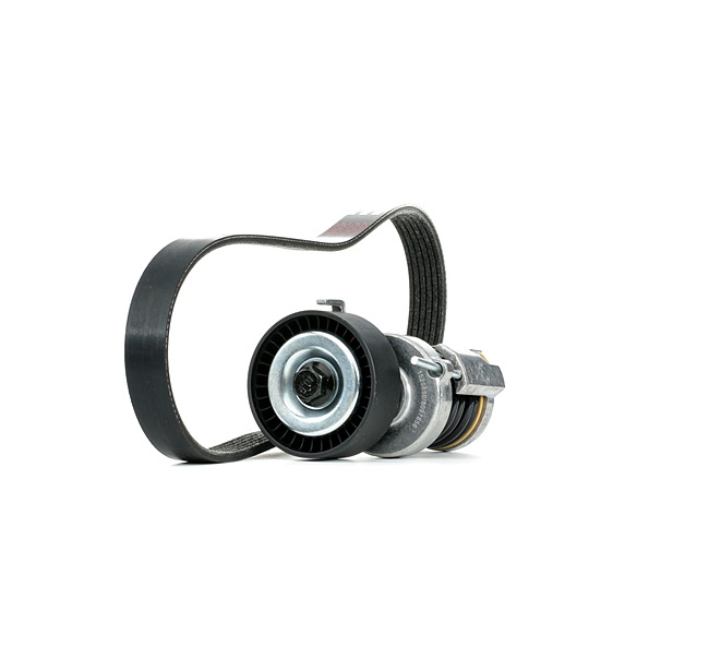 RIDEX 542R0992 multiriem set Seat Altea XL 1.4 16V 86 Pk Benzine 2013