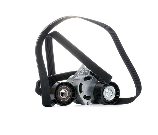 RIDEX 542R0997 A-kwaliteit en eerlijke prijzen
