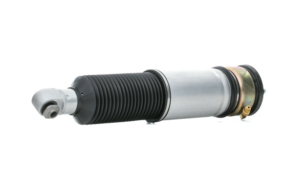 RIDEX 4118A0108 Calidad y precios justos