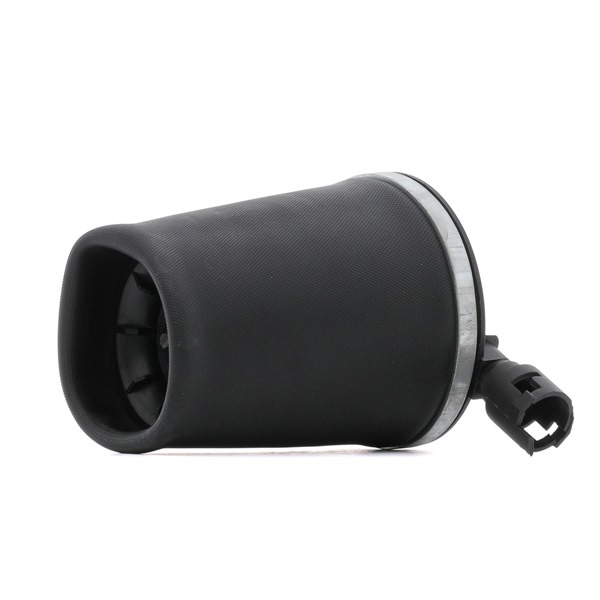 RIDEX 4119A0095 Calidad y precios justos