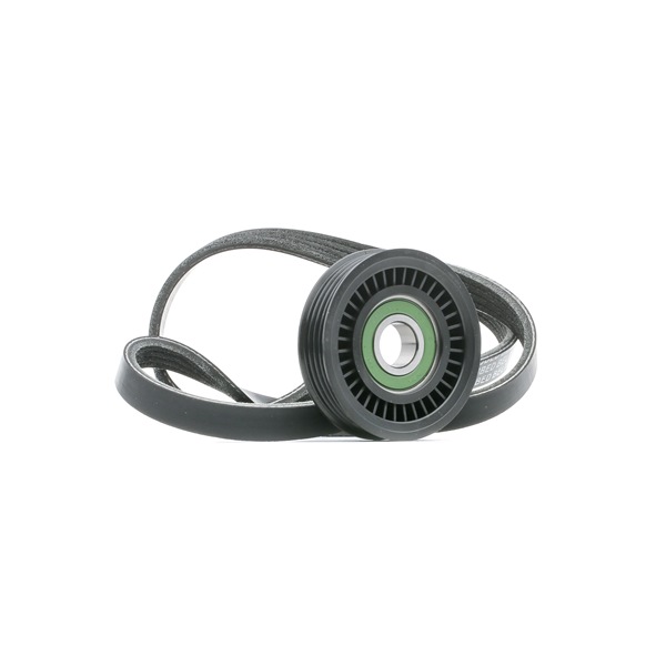 RIDEX 542R1012 A-kwaliteit en eerlijke prijzen