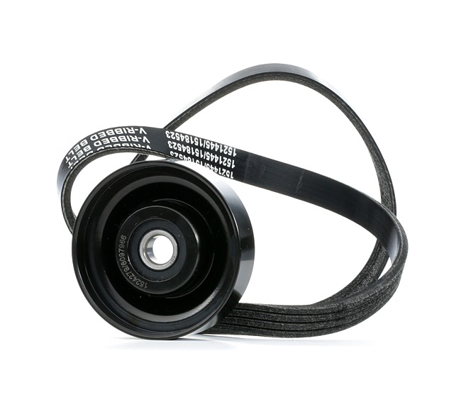 RIDEX 542R1013 A-kwaliteit en eerlijke prijzen