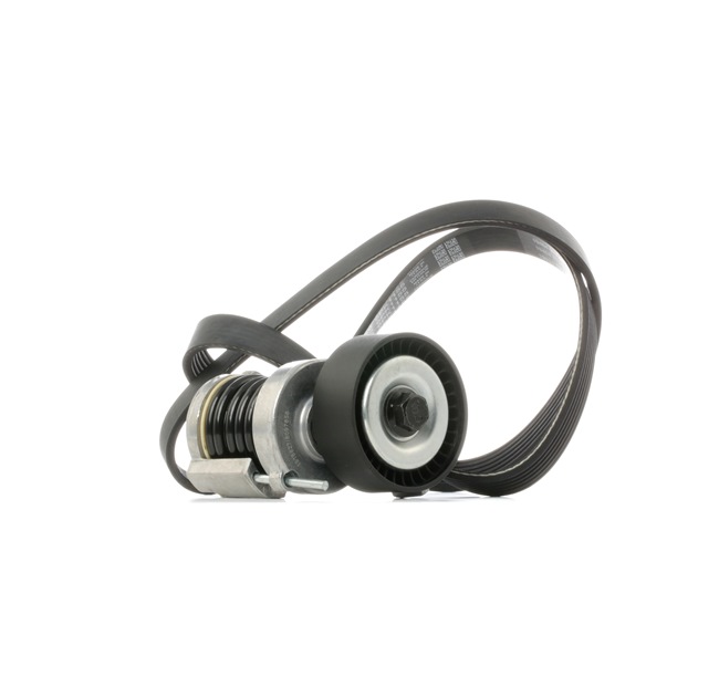 RIDEX 542R1019 Calidad y precios justos