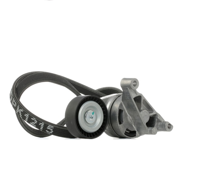 RIDEX 542R1022 Calidad y precios justos