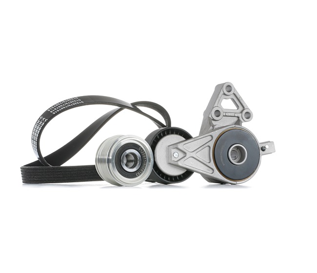STARK SKRBS-1201028 Kit cinghia servizi VW Passat B6 Variant 1.6 102 CV Benzina 2007