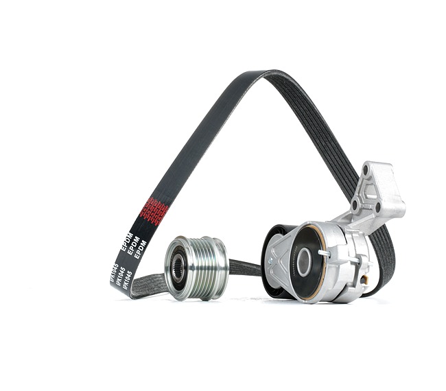 RIDEX 542R1030 Kit cinghia servizi VW Passat B6 Variant 2.0 FSI 4motion 150 CV Benzina 2008