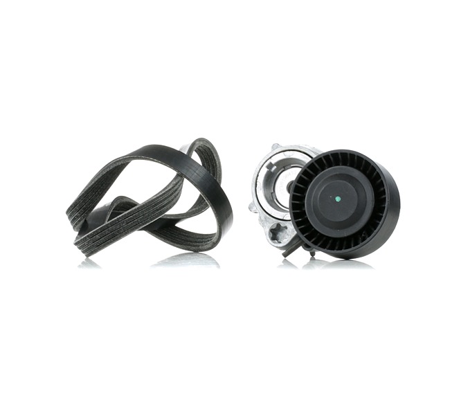 RIDEX 542R1034 di prima qualità a prezzi equi