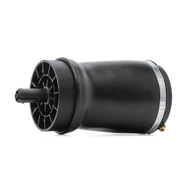 RIDEX 4119A0097 Calidad y precios justos