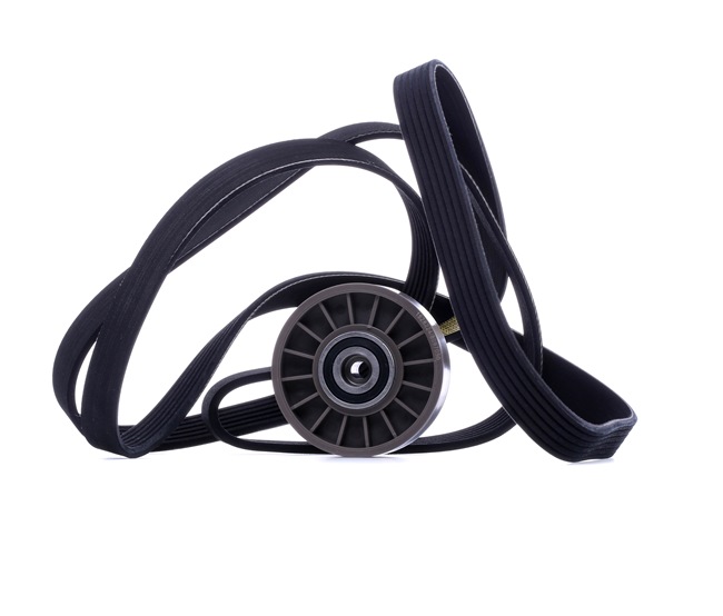 RIDEX 542R1041 Ribrem Puch G-Modell (W460)