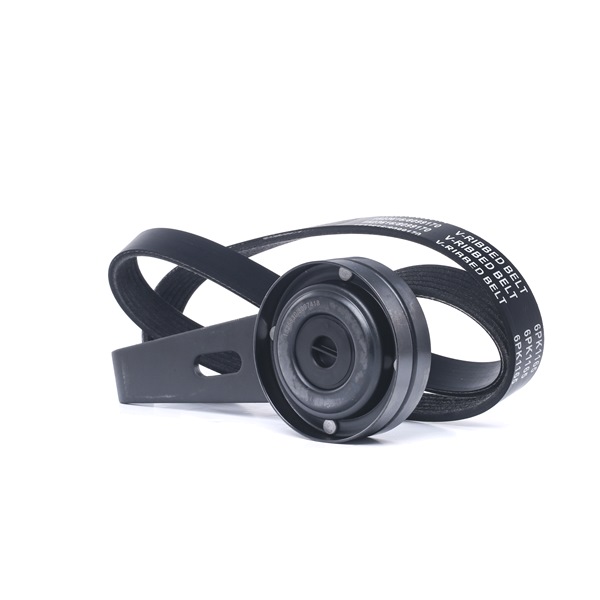 RIDEX 542R1047 A-kwaliteit en eerlijke prijzen