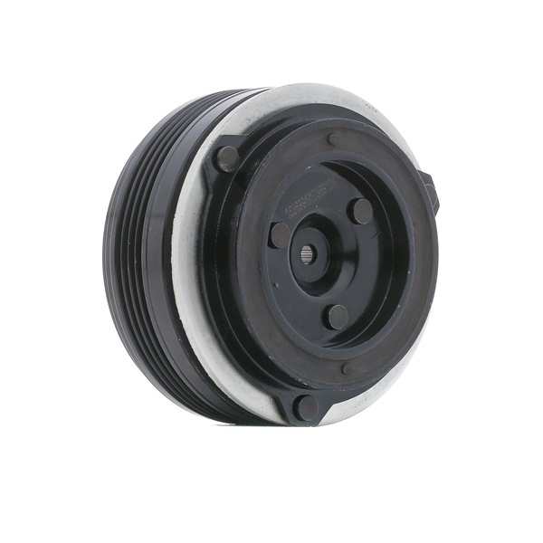 1236M0061 RIDEX 691800003 Magnetkupplung, Klimakompressor