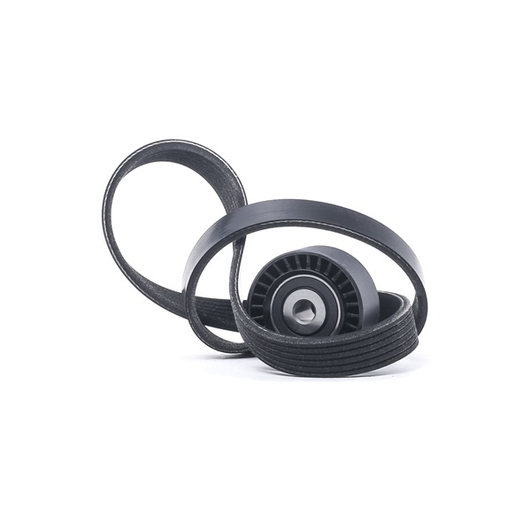 RIDEX 542R1054 A-kwaliteit en eerlijke prijzen